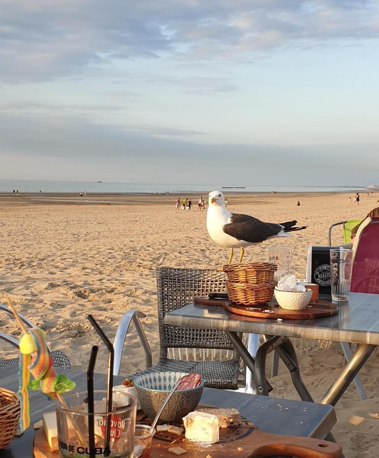 Le Home Sweet Home D'Alice!!! A La Villa Alice Roger Dunkirk Bagian luar foto